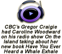 Caroline was interviewed on CBC Radio One's The Current by host Matt Galloway along with retired Newfoundland lightkeeper Barry Porter on January 15, 2024 about the need for a new generation of lighthouse keepers to do worthy work for Canada's mariners and helicopter and sea plane pilots.